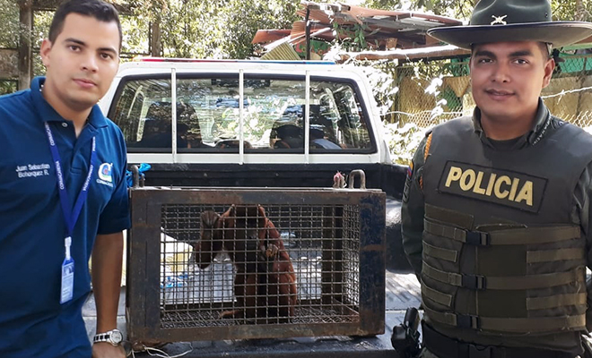 Con-el-Plan-de-Choque-mi-compromiso natural-es-dejarlos-en-libertad