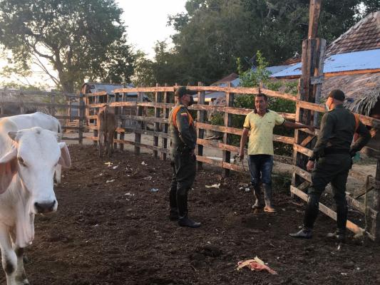 Con campañas puerta a puerta buscamos evitar el robo de ganado en Bolívar  