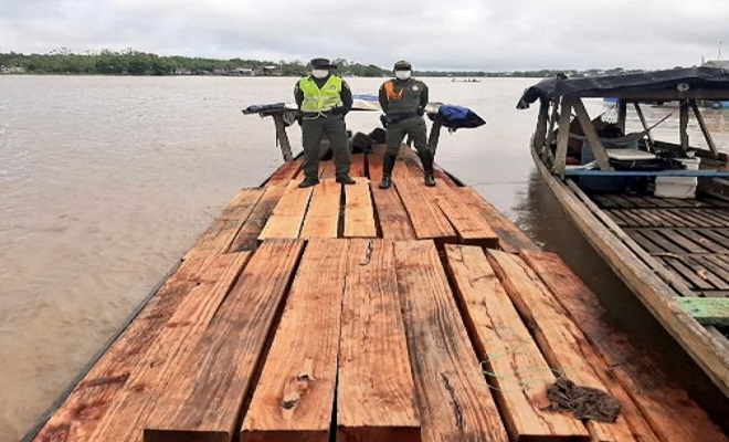Continuamos los controles para frenar la tala de árboles y el tráfico ilegal de madera