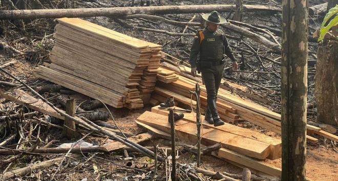 Control a la deforestación