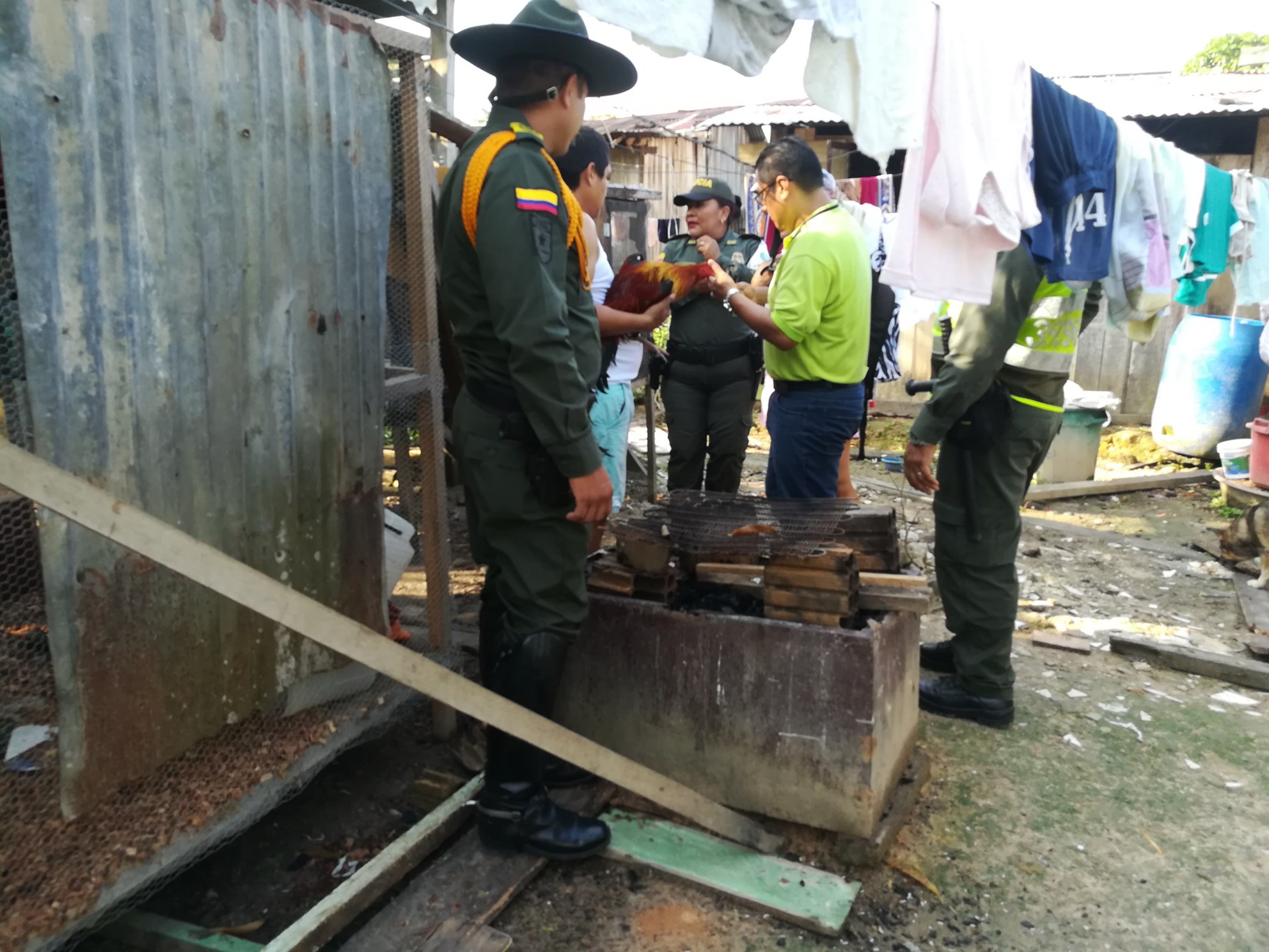 Policía Nacional y el I.C.A lideran campaña de control a granjas avícolas