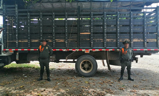 Plan-de-Choque-Construyendo-Seguridad-continúa-combatiendo-el-abigeato-en-Meta