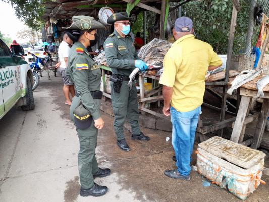 Controles venta de pescado en Magangué