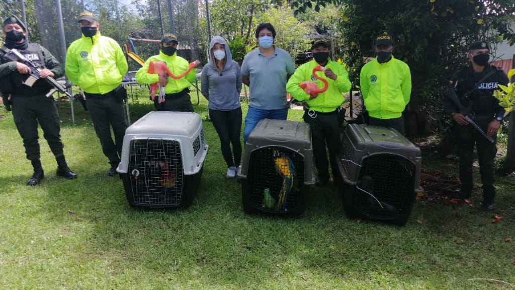 Contundente golpe contra el tráfico ilegal de la biodiversidad1