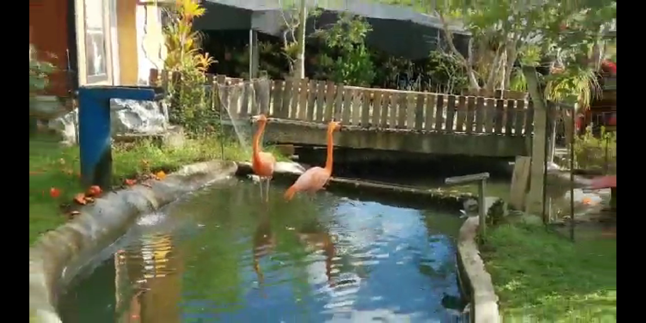 Contundente golpe contra el tráfico ilegal de la biodiversidad3