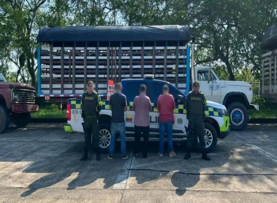 Ofensiva contra el abigeato