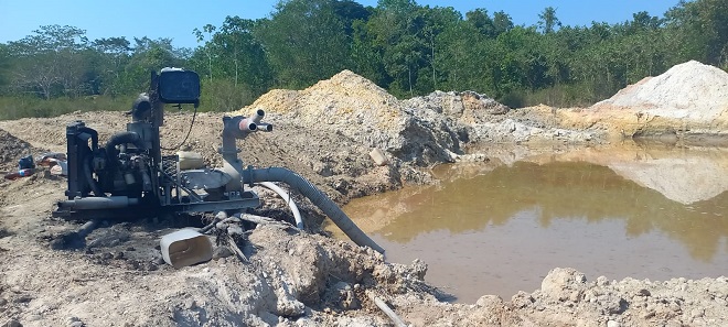 Daño ambiental generado