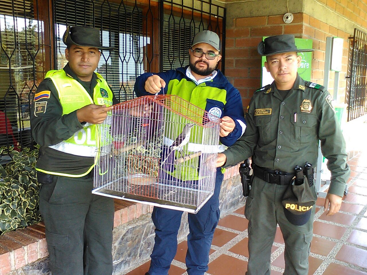 En-operativos-fueron-rescatadas-32-especies-animales-en-vía-de-extinción.