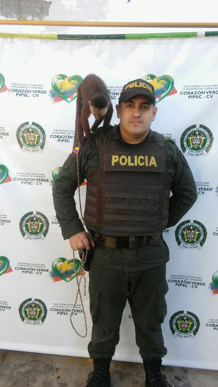 En-control-a-la-fauna-silvestre-la-Policía-Nacional-rescata-54-especies-que-iban-a-ser-comercializadas-en-Antioquia-3
