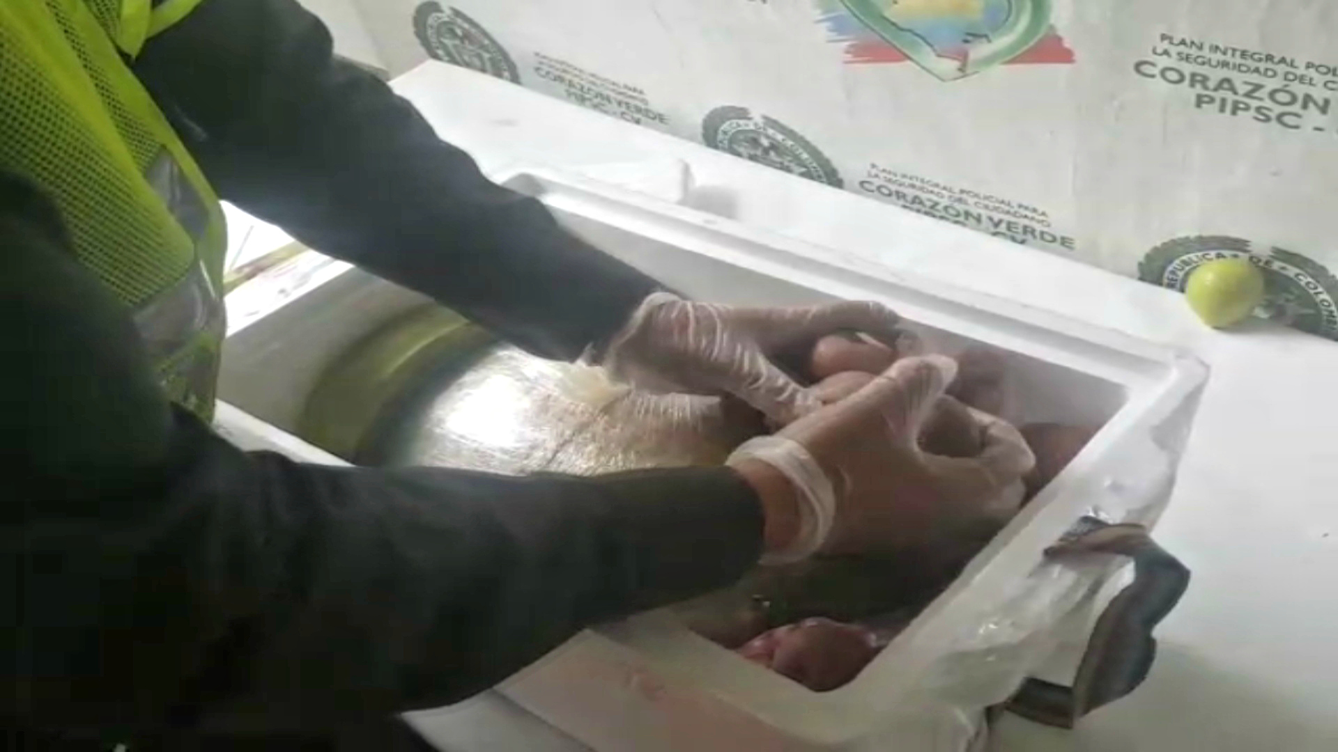 5-kilos-de-marihuana-camuflados-dentro-de-una-sandía-fueron-incautados-en-la-vía-Caucasia.-1 