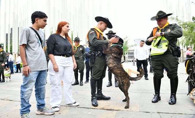 Condecorados cuatro caninos que terminan su servicio en la Policía Nacional