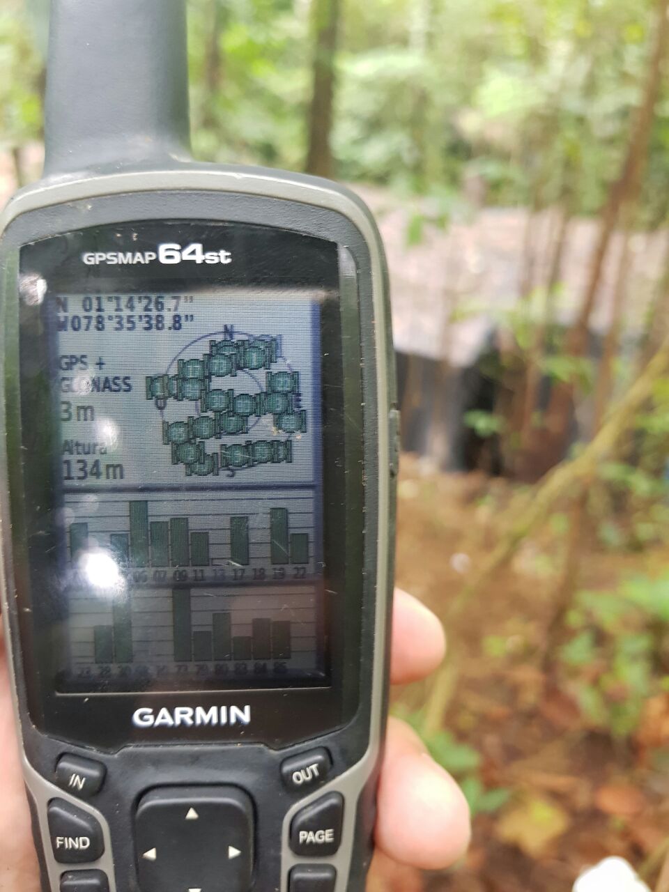 Destruido-laboratorio-para-el-procesamiento-de-cocaína 