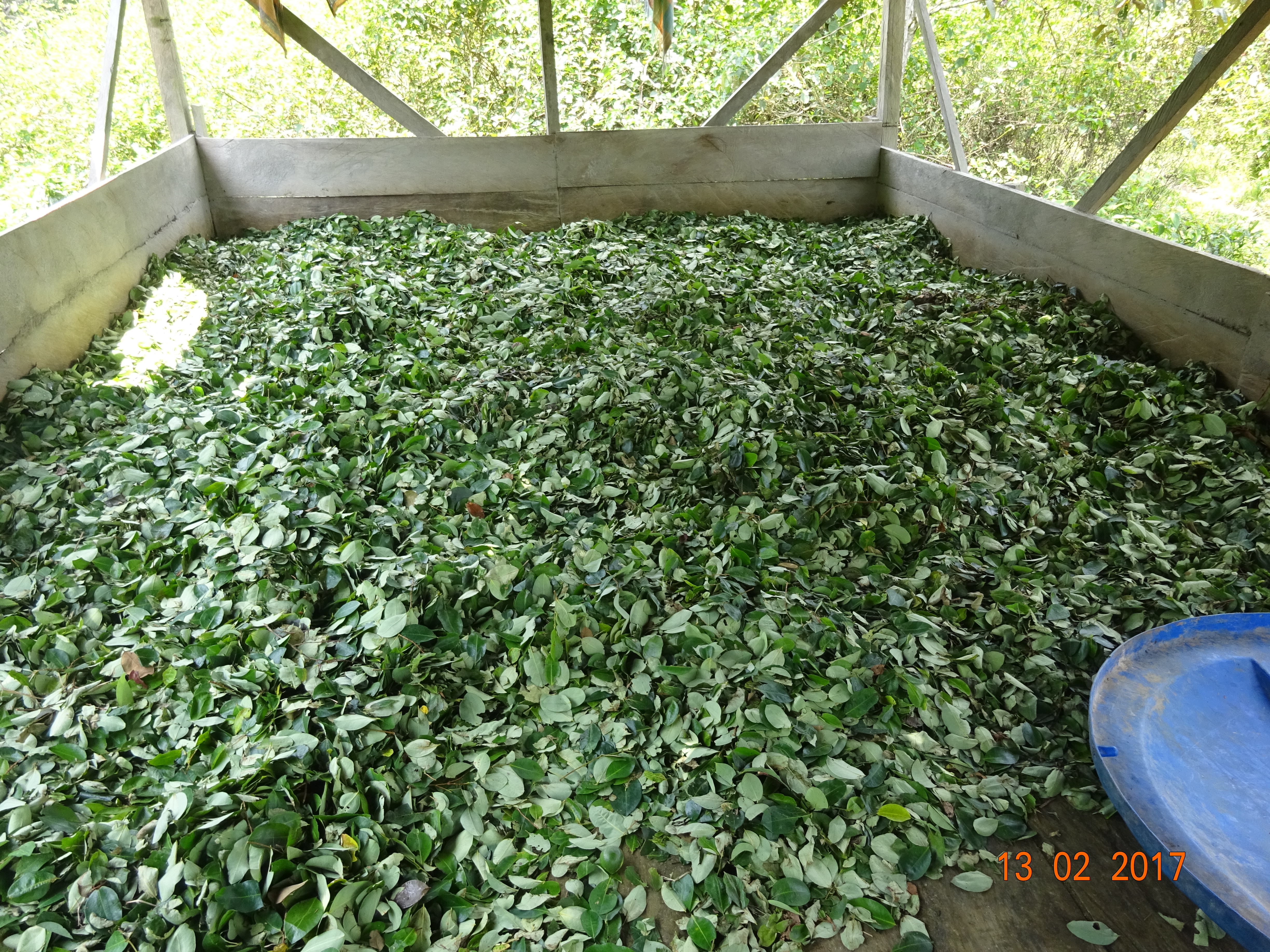 Gran-golpe-a "la constru"; -168 laboratorios-destruidos