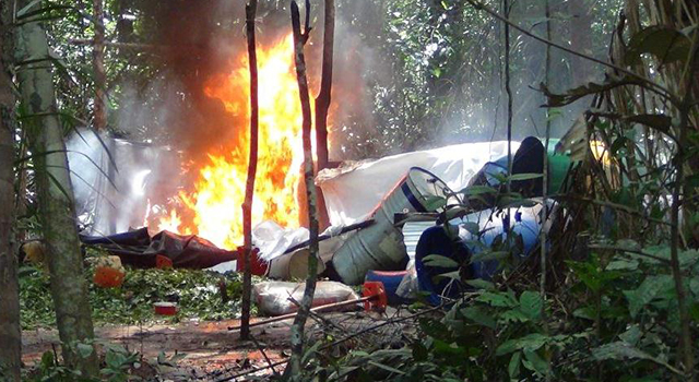 En Lejanías-la Policía Nacional-ubicó y destruyó cultivo y centros de acopio de droga-Meta