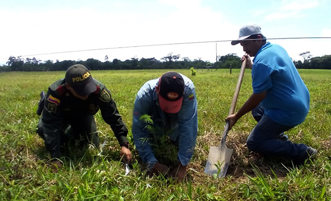 En-el-Meta-nos-unimos-a-la-conmemoración-del-Día-Internacional-de-la-Diversidad Biológica