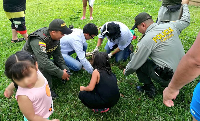 Junto-a-la-comunidad-metense-conmemoramos-el-Día Mundial-del-Medio Ambiente