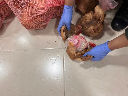 Hacen frente al tráfico de estupefacientes