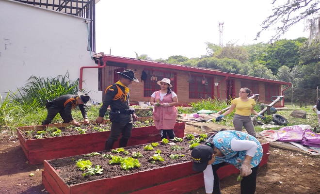 Con 400 plántulas de hortalizas inicio este proyecto que beneficiará a población vulnerable.