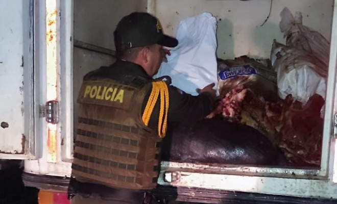 llevaban el pescado sin higiene 