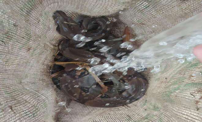 Gracias a la rápida reacción de la Policía Nacional y bomberos se logró controlar un incendio forestal en zona rural de Falan