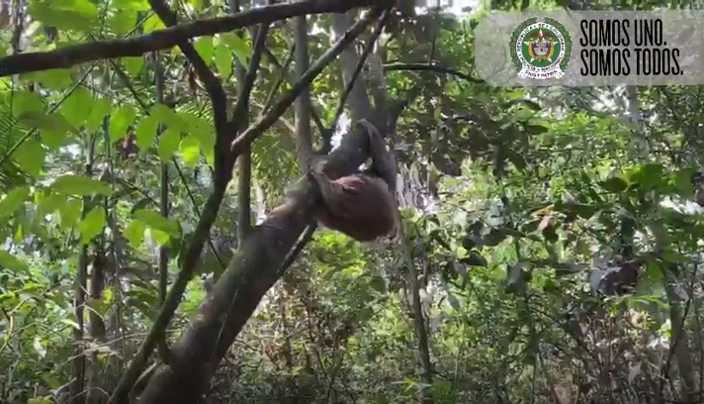 EnLaProteccionALaBiodiversidadSomosUnoSomosTodos4