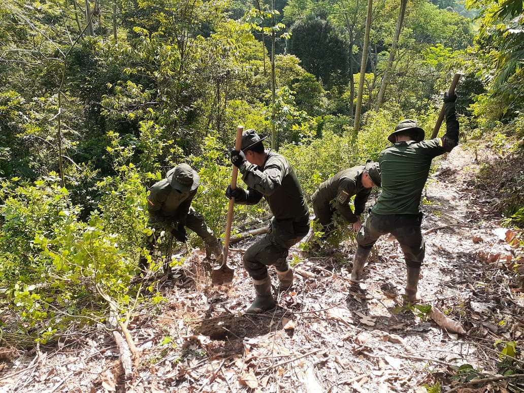 Labores_de _erradicación_1