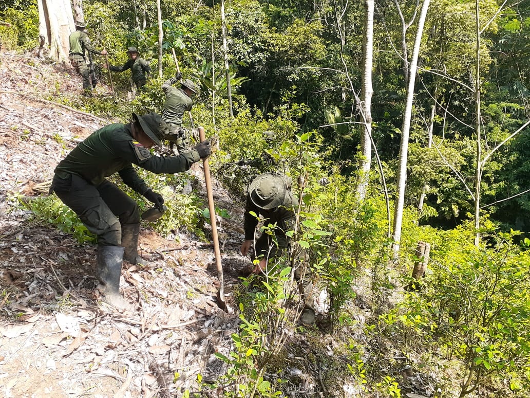 Labores_de _erradicación_2