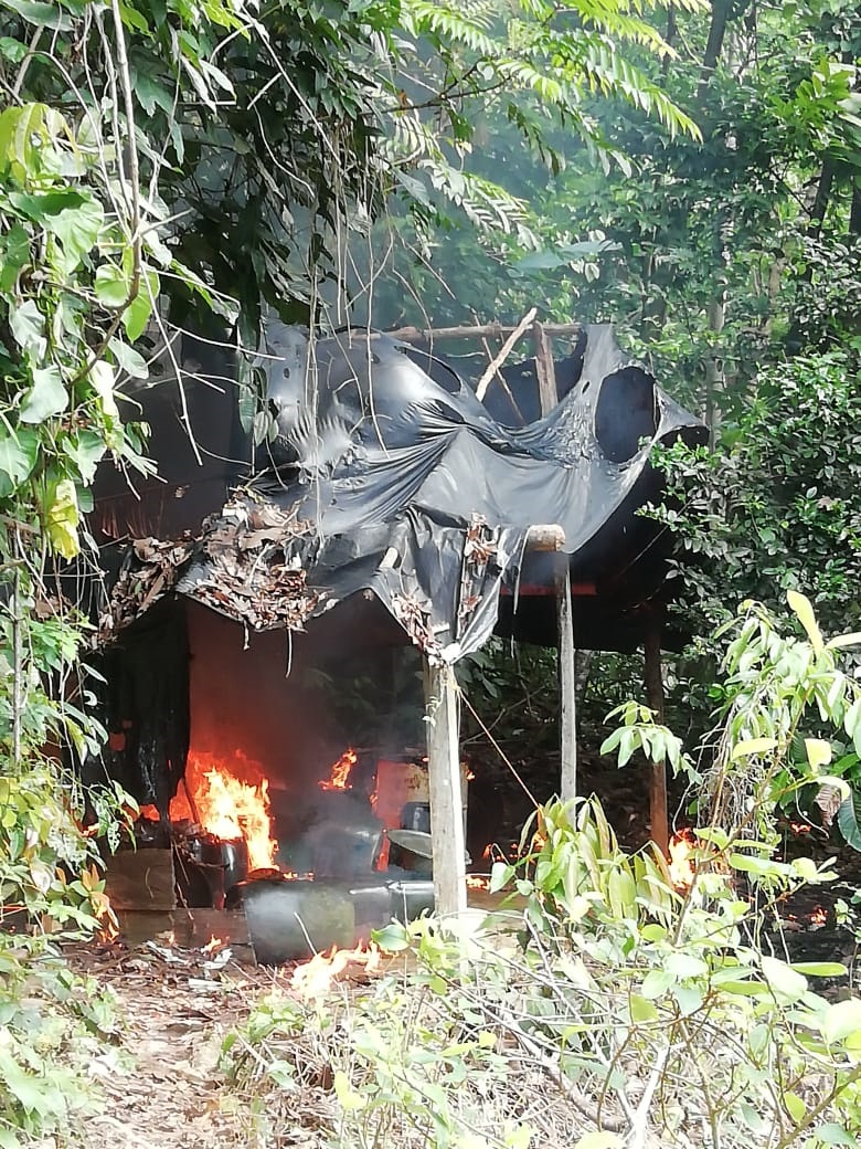 Labores_de _erradicación_3