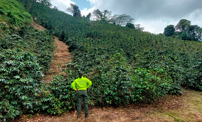Extinción del dominio Cundinamarca.