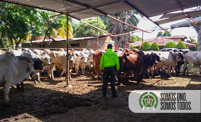 A 9.2 billones de pesos ascienden las operaciones de extinción de dominio entre 2019 y 2020