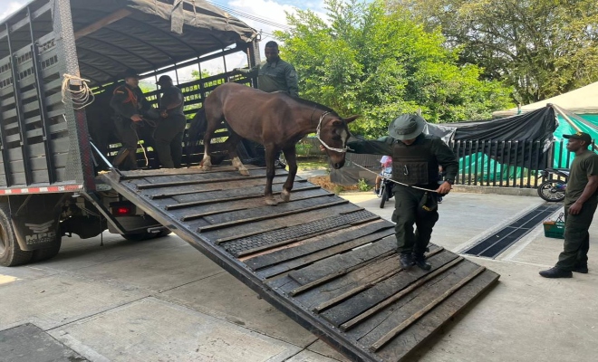 captura por orden judicial de 11 personas, que coordinaban la explotación ilícita