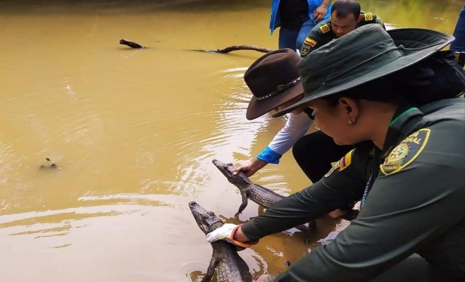Gran jornada de liberación de fauna silvestre 