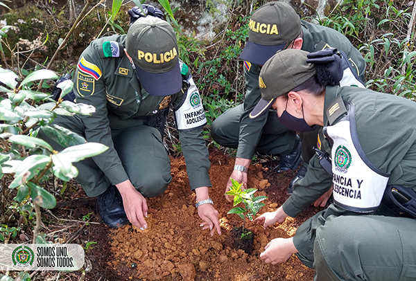 Bajo el lema “no más violencia, sembremos vida” contribuimos en la eliminación de la violencia contra la mujer