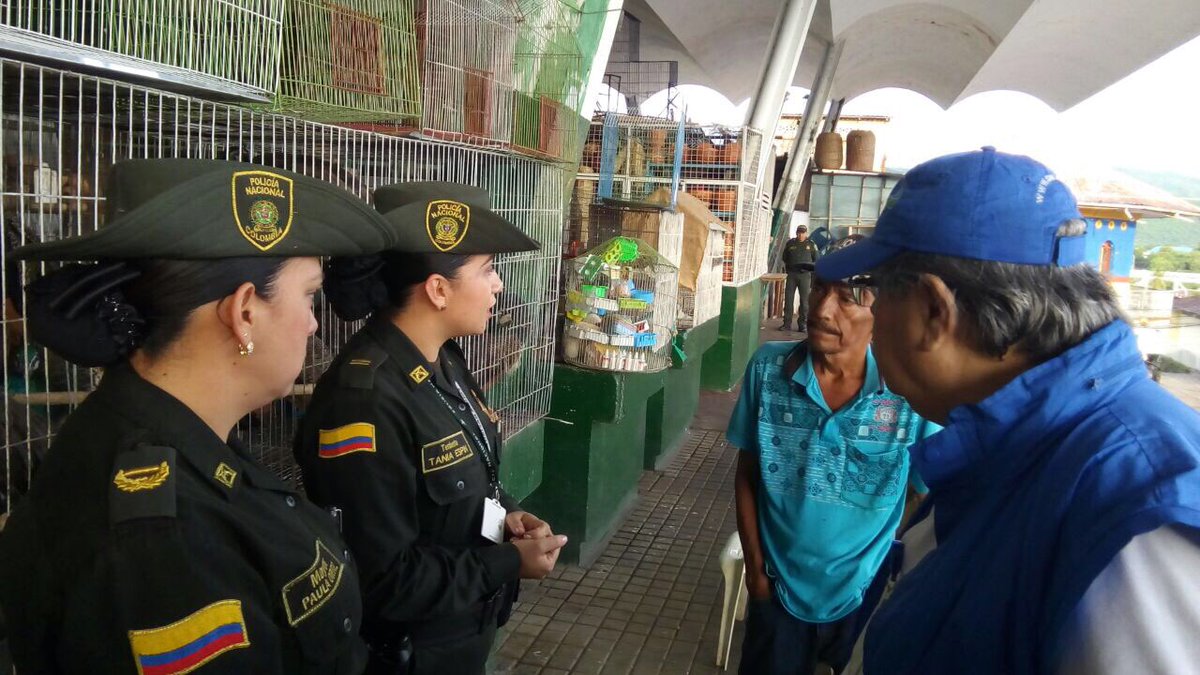 control-al-trafico-de-especies-silvestre