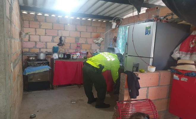 En registro y allanamiento le hallaron un arma de fuego 