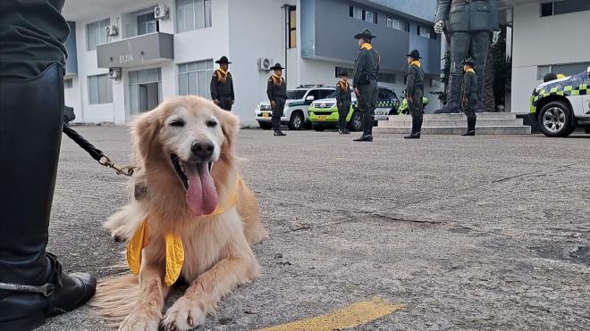 Después de varios años de servicio a la comunidad