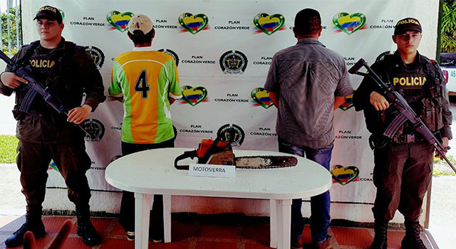 La Policía Nacional-frustró-tala indiscriminada-de-árboles-en-zona rural-del Meta