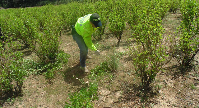La Policía Nacional-propina nuevo golpe al ‘Clan Golfo’-narcotráfico-meta