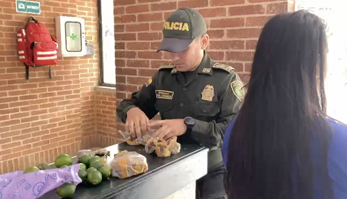 Hallazgo de la sustancia estupefaciente