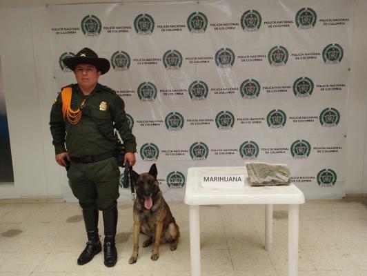 Con canino experta en detección de estupefacientes logramos la incautación 
