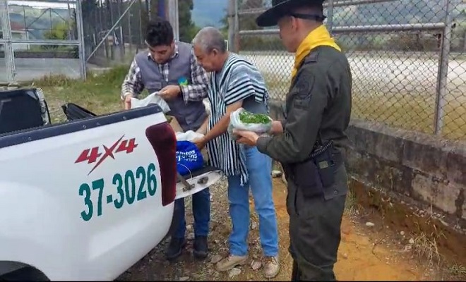 Espacios de sano esparcimiento con la comunidad estudiantil de la zona rural del municipio de Bello