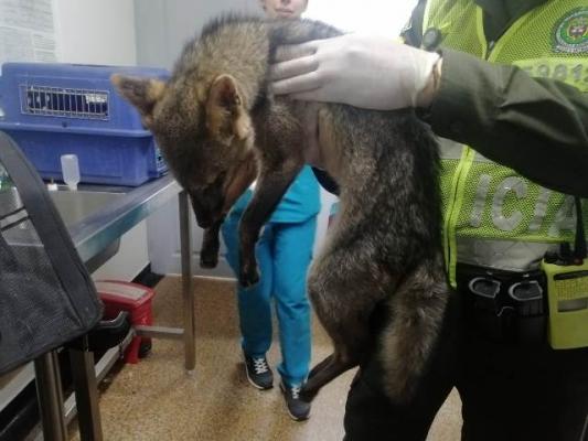 Conservación y preservación del medio ambiente