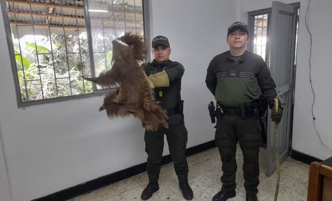 No importa la especie debe ser protegida