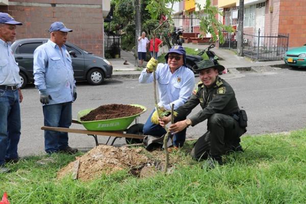 Conmemoramos el día internacional del árbol en el área metropolitana de Pereira
