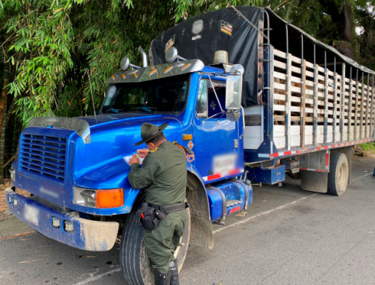 Incautacion de varios bovinos, por ser transportados sin la respectiva guía de movilización