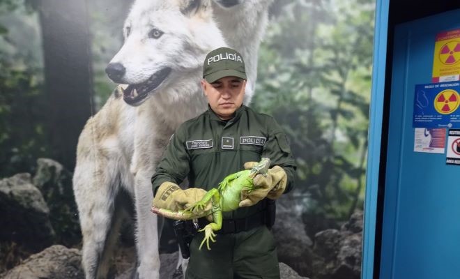 Los seres que no tienen voz son prioridad para nosotros como institución en el área metropolitana de Pereira