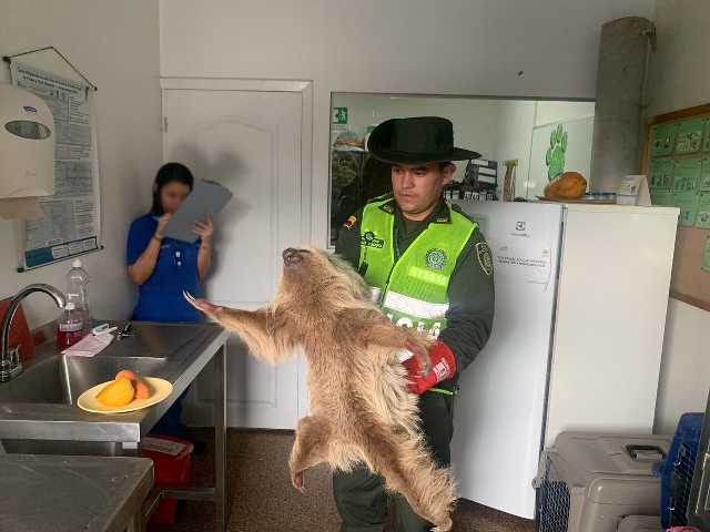 Tu-casa-no-es-mi-casa-mi-casa-es-el-bosque