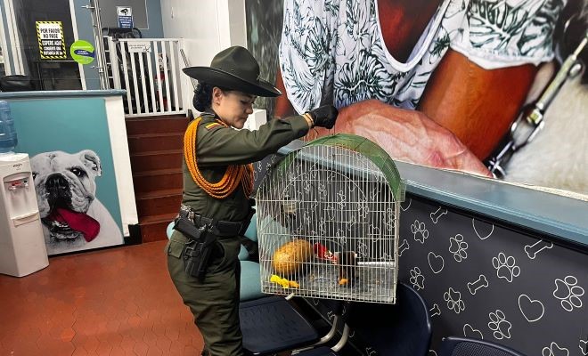 El cuidado y protección de los animales es una prioridad para la Policía Nacional