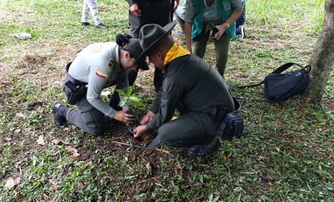 Con la siembra de un árbol, aportamos un granito de arena a la protección del medio ambiente