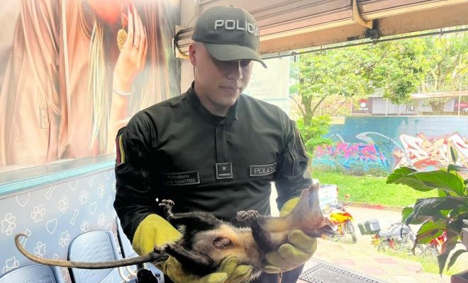no-importa-el-lugar-la-policia-nacional-protegera-todas-las-especies